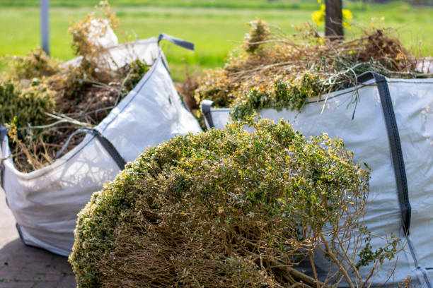  Sa De Oro Mount Helix, CA Junk Removal Pros